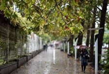 پیش‌بینی بارش پراکنده در تهران