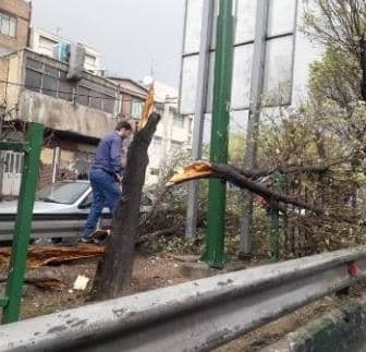 بارش باران و وزش باد شدید در تهران/مصدومیت دو نفر در پی وقوع طوفان پایتخت