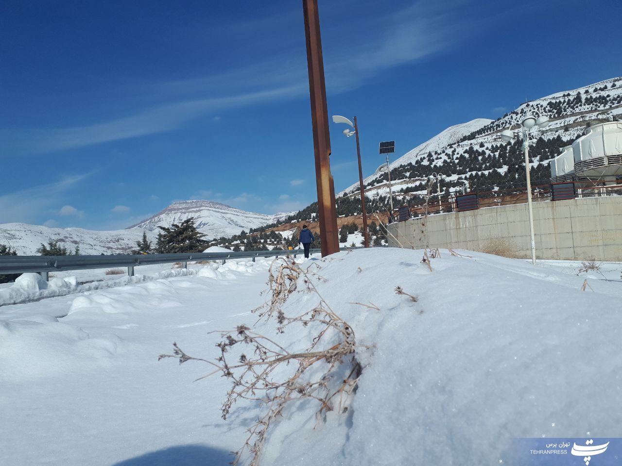 عکس| ردِپای برف زمستانی در دانشگاه آزاداسلامی واحد علوم تحقیقات تهران