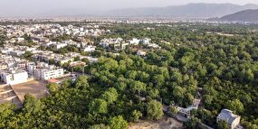۸۰ درصد پرونده‌های باغات شهر تهران مربوط به منطقه یک است