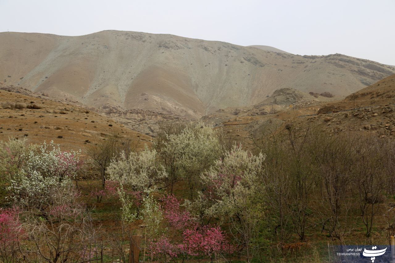 روستای کوهستانی وردیج یا ارواح سنگی