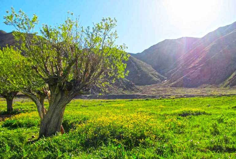 دشت هویج لواسان دشت هویج لواسان