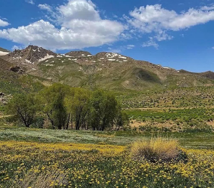 گردنهی عسلک؛ تفرجگاهی خنک برای تهرانیها گردنهی عسلک؛ تفرجگاهی خنک برای تهرانیها