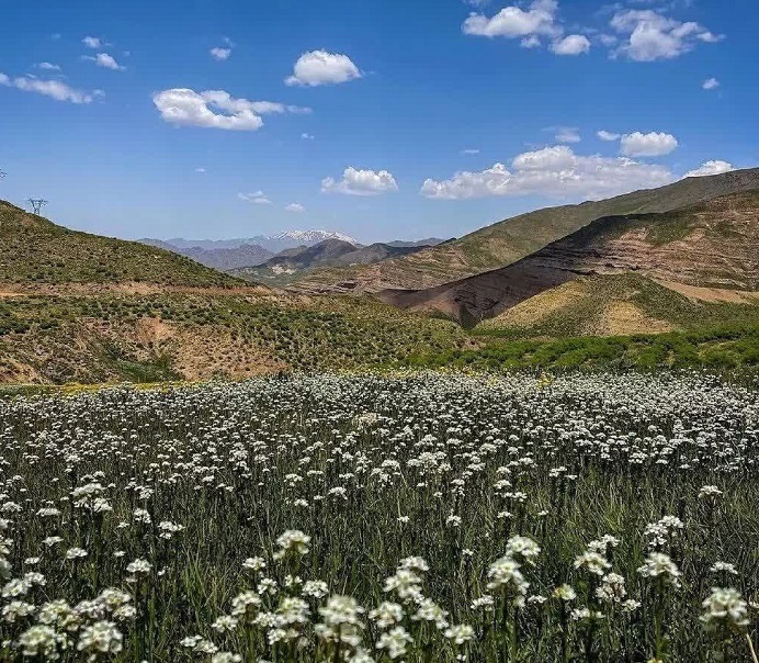 گردنهی عسلک؛ تفرجگاهی خنک برای تهرانیها گردنهی عسلک؛ تفرجگاهی خنک برای تهرانیها