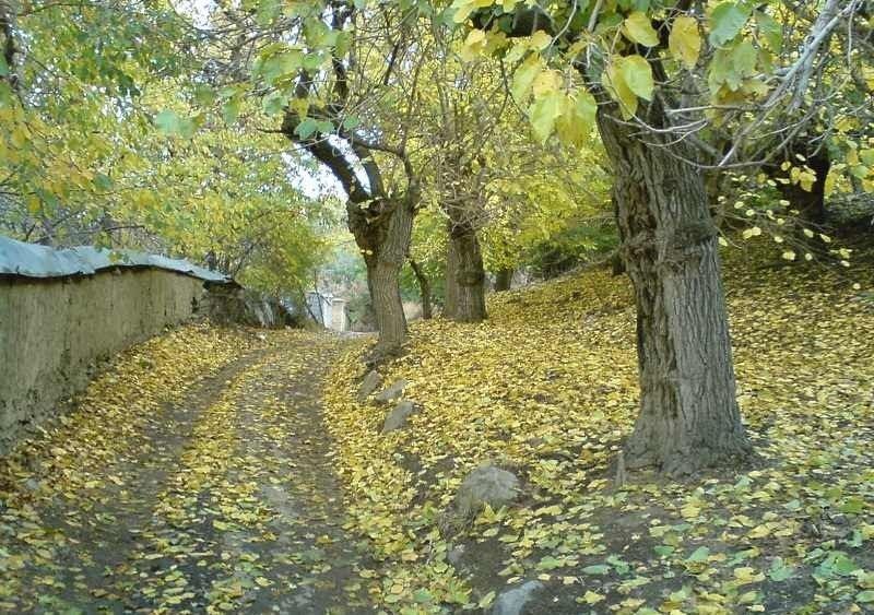 روستای کندر روستای کندر