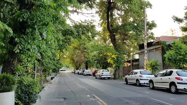 دستغیب؛ محلهای سبز با مسیرهای تازه پیادهروی دستغیب؛ محلهای سبز با مسیرهای تازه پیادهروی