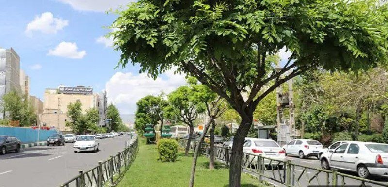 محله فردوس؛ از سکون تا پویایی محلی محله فردوس؛ از سکون تا پویایی محلی