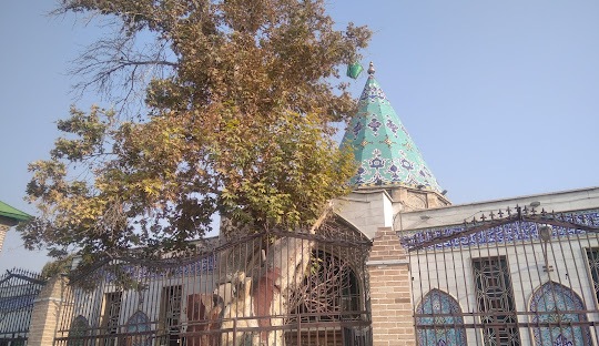 محله امامزاده یحیی؛ ترکیبی از تاریخ، فرهنگ و تحول محله امامزاده یحیی؛ ترکیبی از تاریخ، فرهنگ و تحول