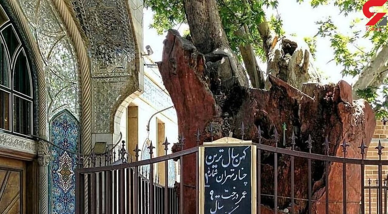 محله امامزاده یحیی؛ ترکیبی از تاریخ، فرهنگ و تحول محله امامزاده یحیی؛ ترکیبی از تاریخ، فرهنگ و تحول