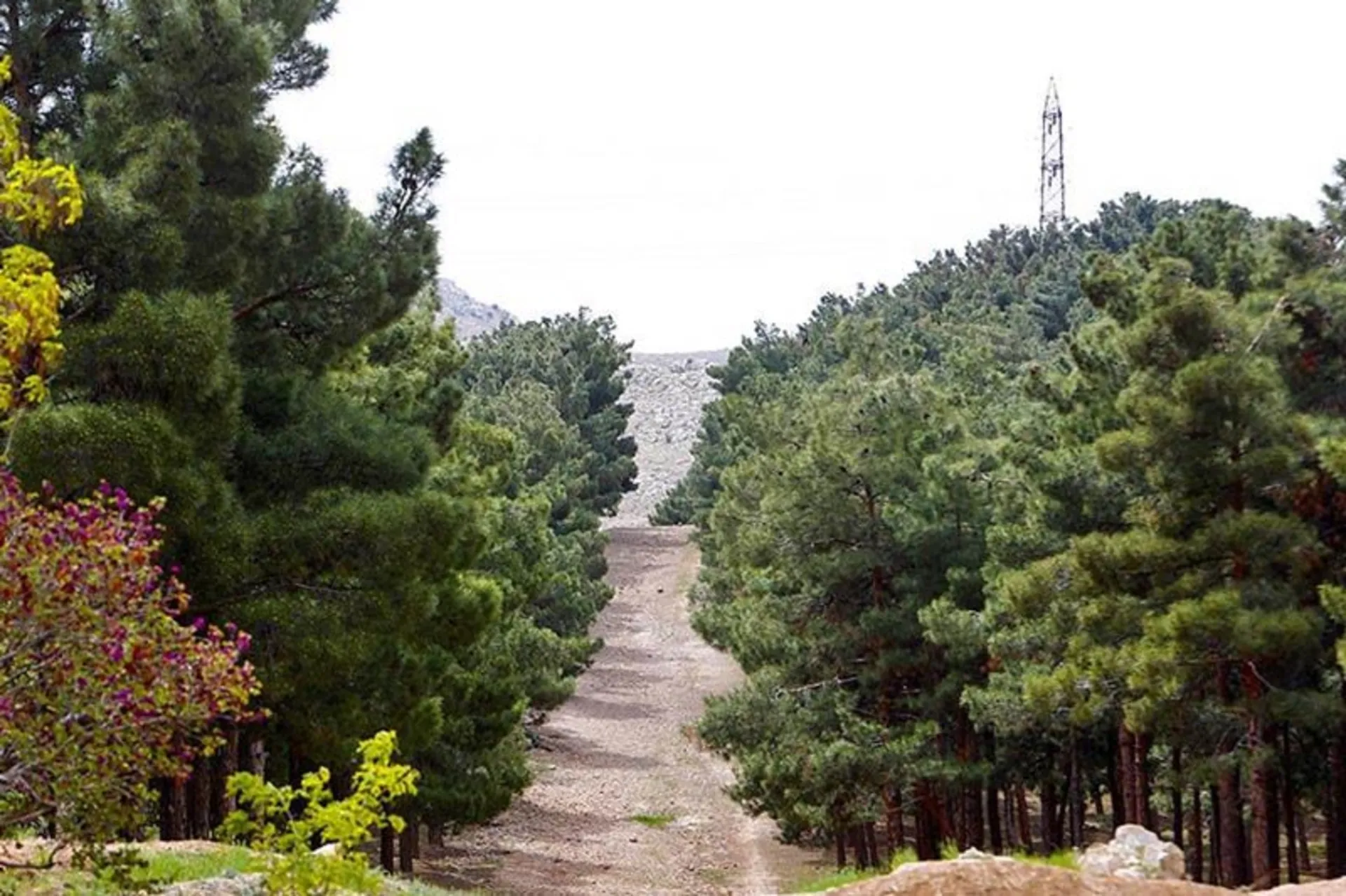 بوستان سرخهحصار؛ مقصد گردشگری خانوادههای تهرانی بوستان سرخهحصار؛ مقصد گردشگری خانوادههای تهرانی