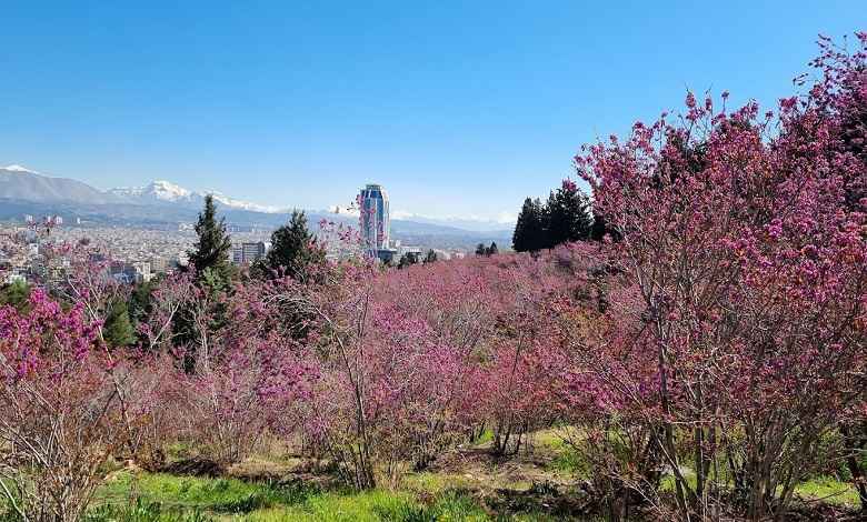 بوستان سرخهحصار؛ مقصد گردشگری خانوادههای تهرانی بوستان سرخهحصار؛ مقصد گردشگری خانوادههای تهرانی