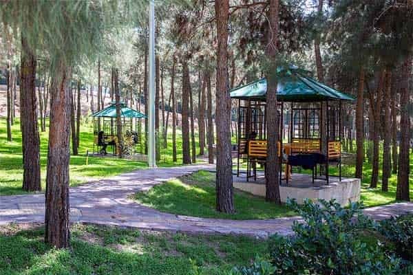 چیتگر؛ تلاقی سبزی جنگل و آرامش دریاچه چیتگر؛ تلاقی سبزی جنگل و آرامش دریاچه