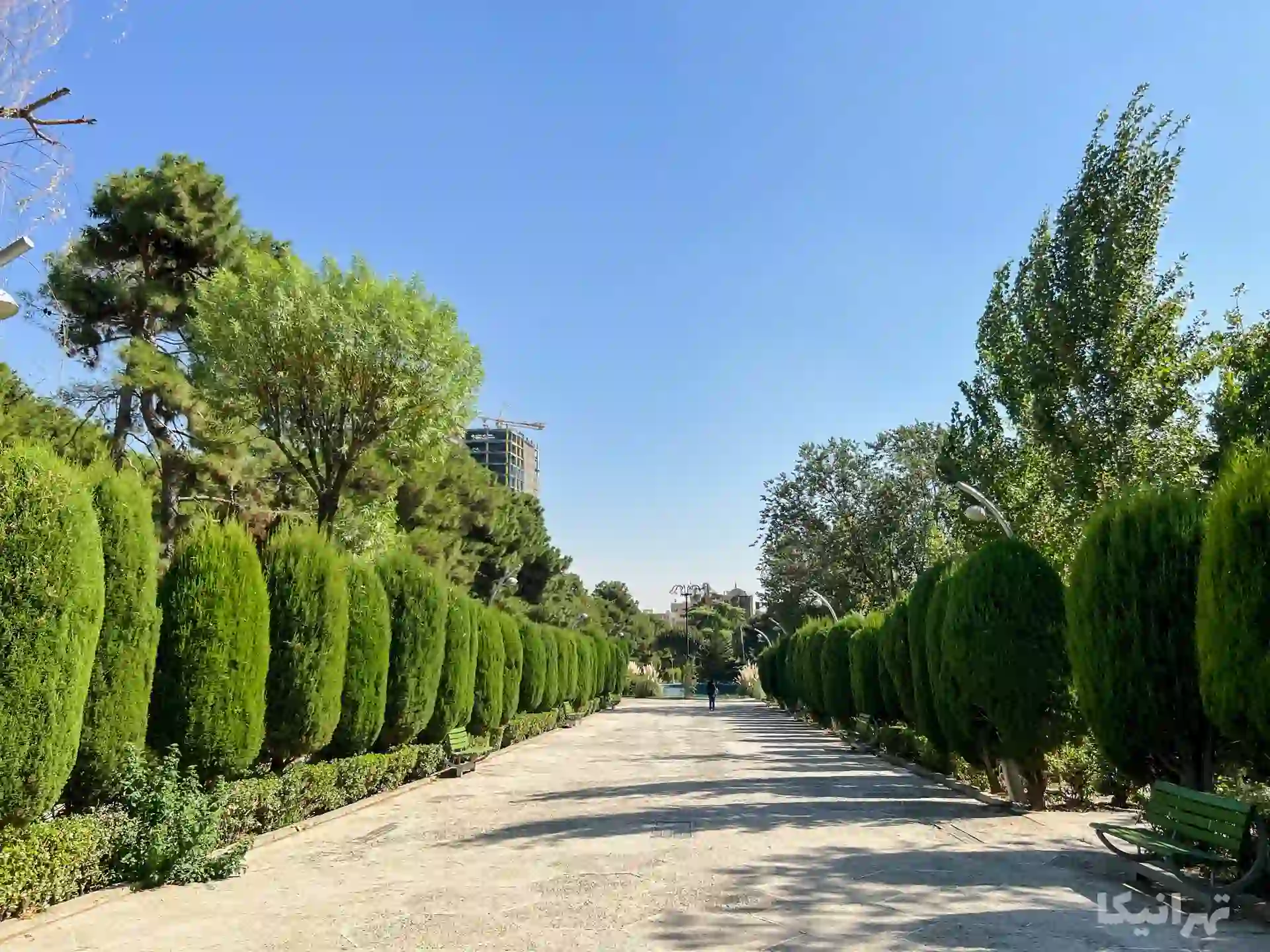 بوستان ساعی؛ جاذبه سبز محلی برای شهروندان بوستان ساعی؛ جاذبه سبز محلی برای شهروندان