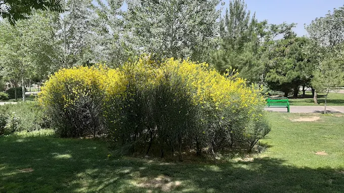 بوستان پلیس؛ آماده جهش بزرگ خدماتی و تفریحی بوستان پلیس؛ آماده جهش بزرگ خدماتی و تفریحی