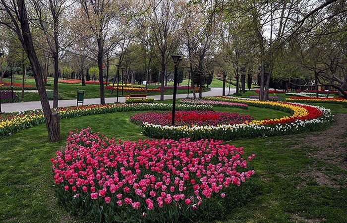 فضای سبز بوستان ریحانه، نفس تازه بانوان شهر فضای سبز بوستان ریحانه، نفس تازه بانوان شهر