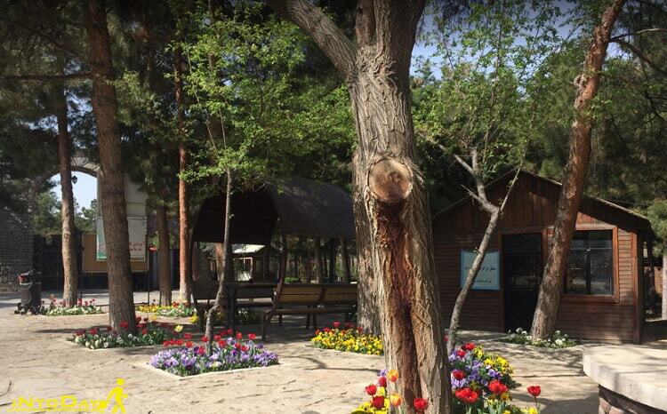 فضای سبز بوستان ریحانه، نفس تازه بانوان شهر فضای سبز بوستان ریحانه، نفس تازه بانوان شهر