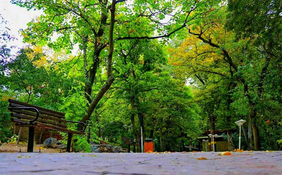 بوستان قیطریه؛ مقصد آرامش روزانه شهروندان بوستان قیطریه؛ مقصد آرامش روزانه شهروندان