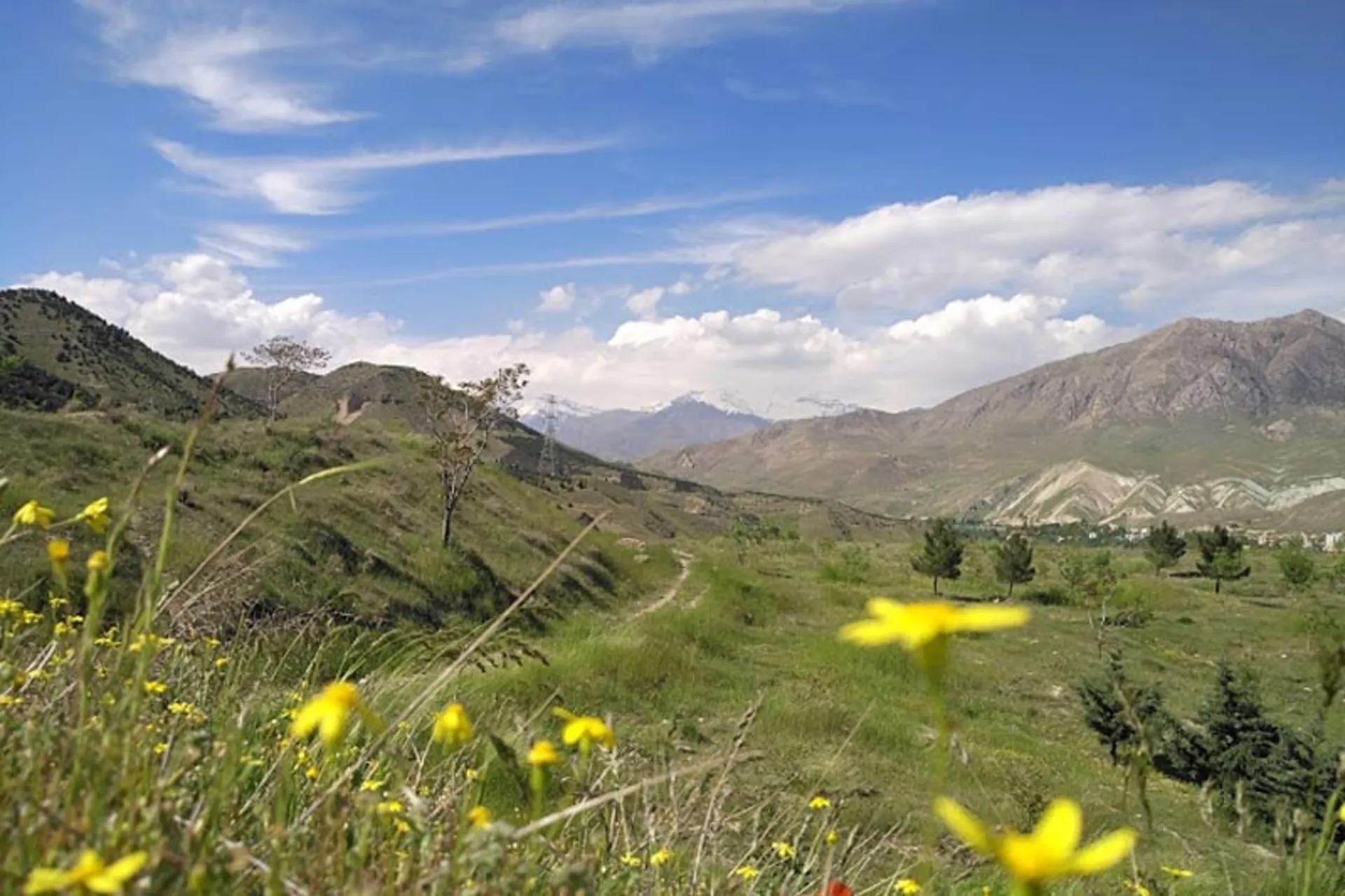 بوستان ملی خجیر؛ ذخیرهگاه تنفس شرق تهران بوستان ملی خجیر؛ ذخیرهگاه تنفس شرق تهران
