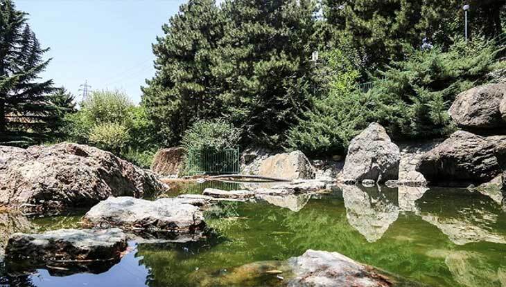 بوستان جمشیدیه؛ روایت زنده همزیستی طبیعت و شهر بوستان جمشیدیه؛ روایت زنده همزیستی طبیعت و شهر