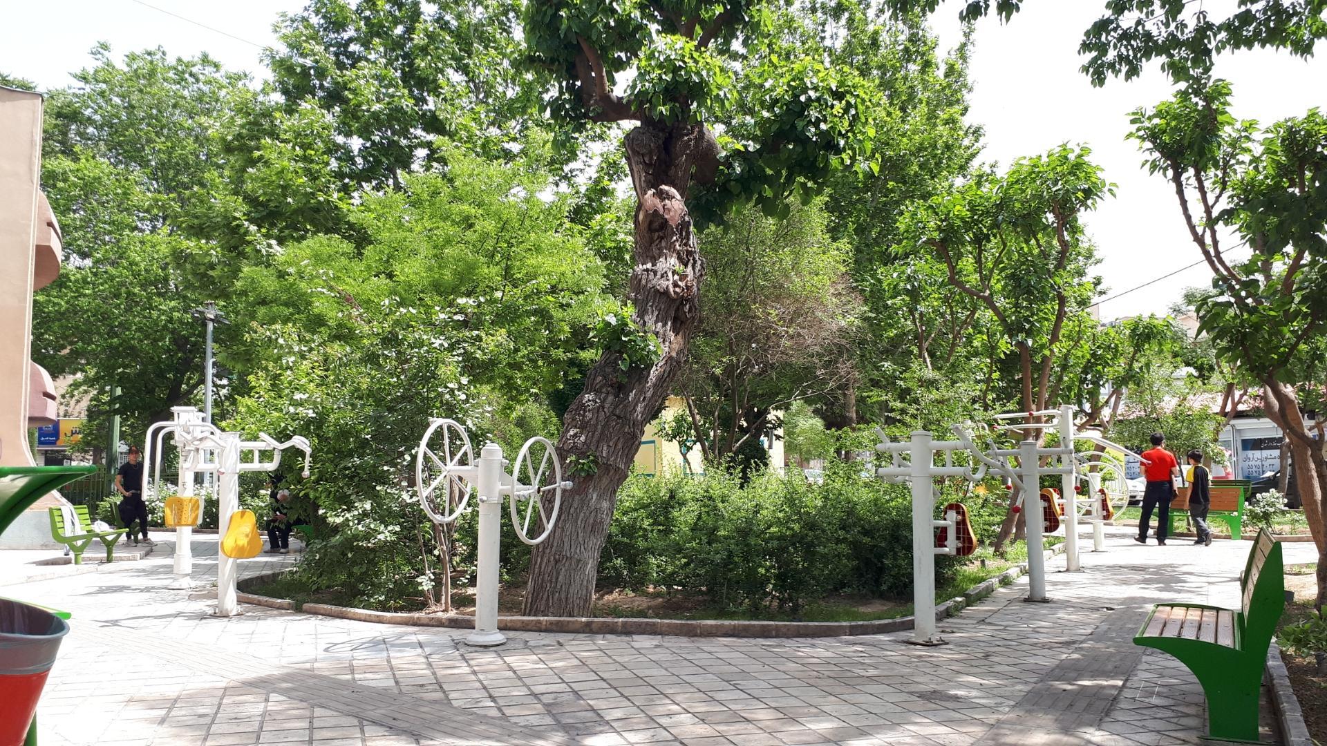 بوستان رضوان دوباره در روشنای طراوت میدرخشد بوستان رضوان دوباره در روشنای طراوت میدرخشد