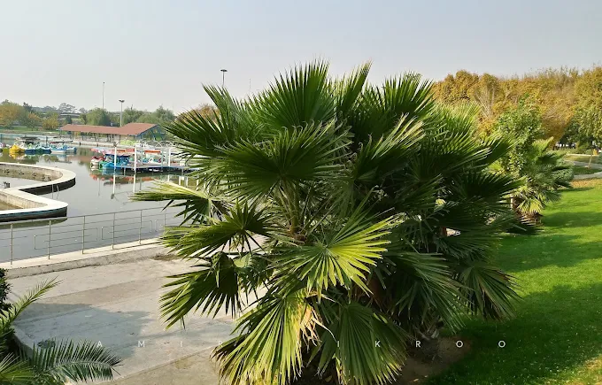 نفس تازه غرب تهران در بوستان المهدی
