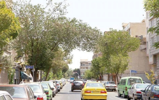 هاشمی؛ محلی برای زندگی باکیفیت در شهر هاشمی؛ محلی برای زندگی باکیفیت در شهر