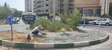نماکاری میدان تسنیم در منطقه ۲۲ آغاز شد