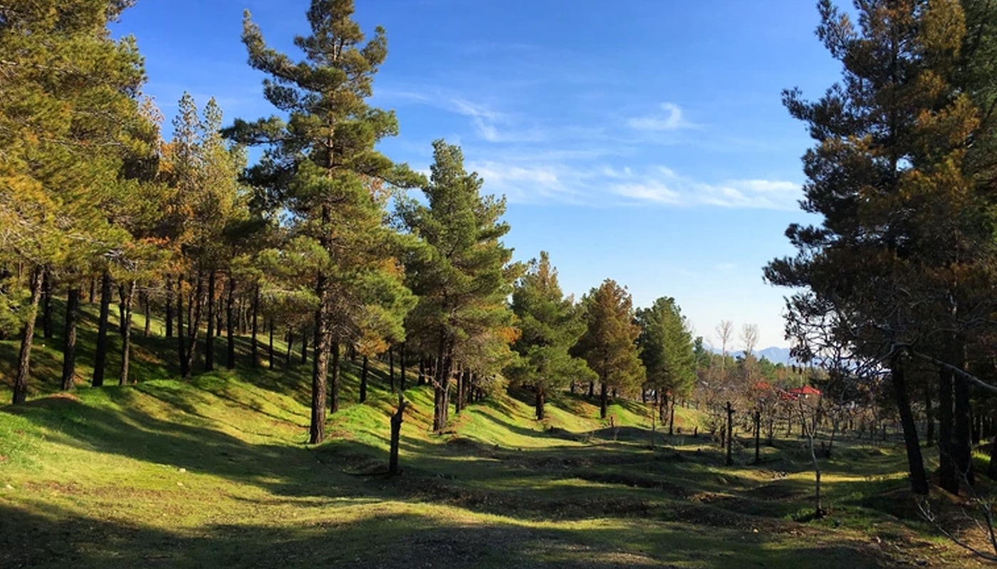 بوستان شیان؛ بزرگترین فضای سبز تهران بوستان شیان؛ بزرگترین فضای سبز تهران
