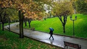 کمبود فضای سبز در برخی محله‌های تهران