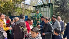 از کاشت نهال به یاد شهدا تا توزیع نهال رایگان