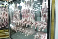 توزیع گوشت با قیمت زیر ۶۰۰ هزارتومان