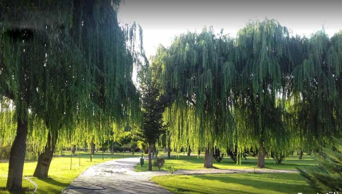 بوستان توسکا؛ تکهای از جنگل در جنوب پایتخت بوستان توسکا؛ تکهای از جنگل در جنوب پایتخت