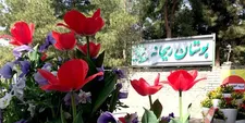 جشنواره دختران ریحان در بوستان چیتگر