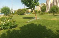 آبیاری فضای سبز معابر اطراف ورزشگاه آزادی