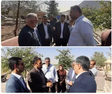 اهمیت توسعه فضای سبز  در تهران