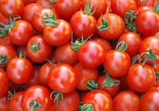 صادرات گوجه‌فرنگی و پیاز آزاد شد