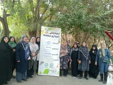 برگزاری جشنواره رقابت‌های سالمندی منطقه ۱۴