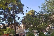 سیاهپوشی منطقه ۱۴ و اجرای برنامه‌های فرهنگی