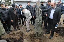 کاشت ۲۵ هزار اصله نهال غیرمثمر در بوستان چیتگر