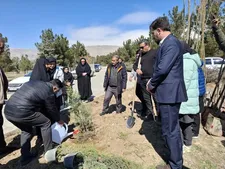 کاشت نهال در منطقه ۲۱