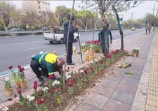 کاشت گل‌های بهاری و رسیدگی به فضای سبز