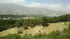 نفس تازه در بوستان جنگلی «شیان» تهران