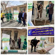 جشن درختکاری در منطقه ۱۷