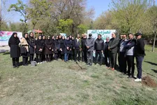 غرس نهال‌های مثمر و توزیع نهال رایگان در پایتخت