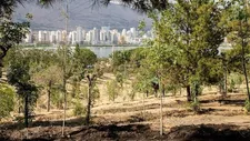 هوشمندسازی آبرسانی در بوستان چیتگر