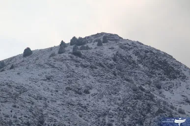 عکس پاییزی