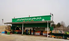 تره‌بار جدید محله قصر فیروزه افتتاح شد