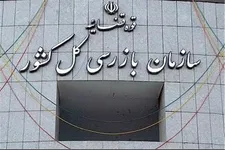 سازمان بازرسی و شناسایی گلوگاه‌های فساد
