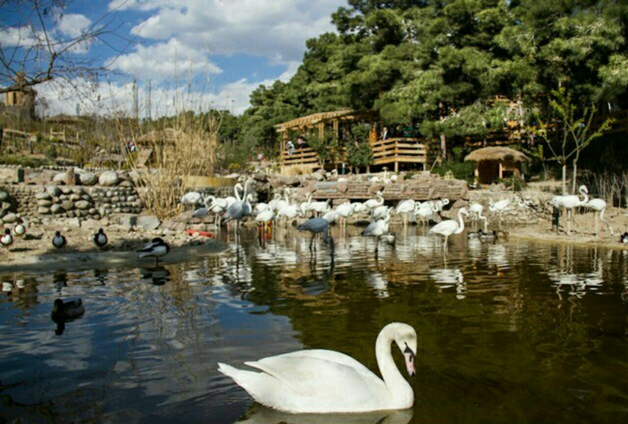 بوستان شیان؛ بزرگترین فضای سبز تهران بوستان شیان؛ بزرگترین فضای سبز تهران