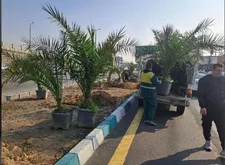 کاشت ۶۰۰ اصله درخت در منطقه ۲۱